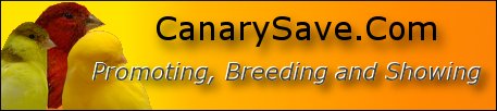 Canary Save Banner